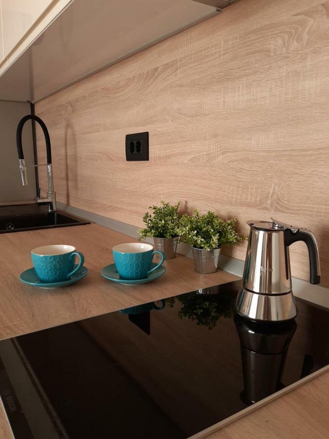 Apartment Regina Dubrovnik - Free Parking المظهر الخارجي الصورة